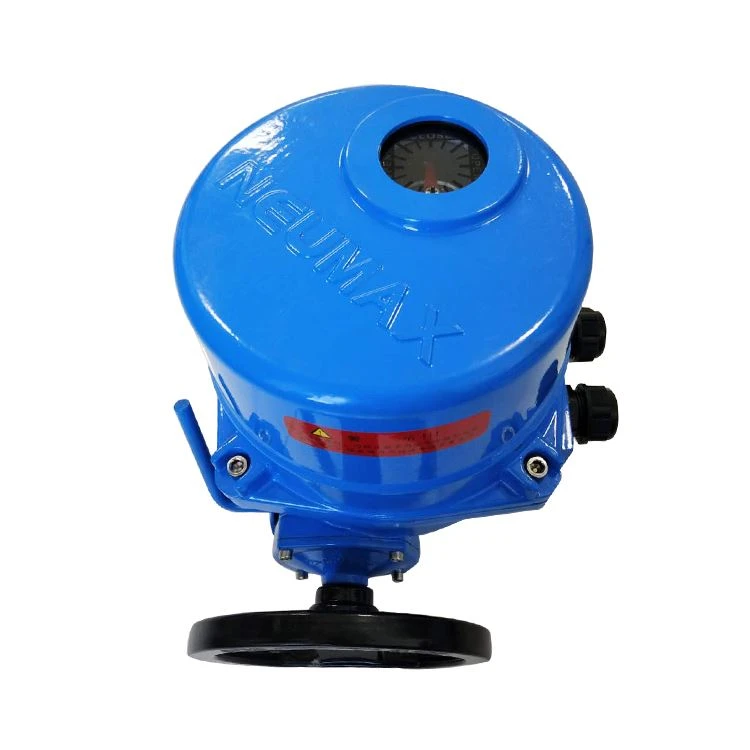 NEUMAX Model Electric Actuator QT06-0.9