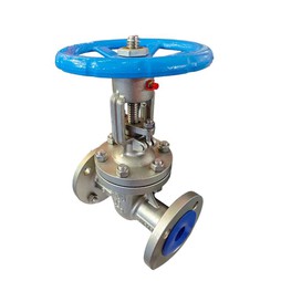 Manual Valve
